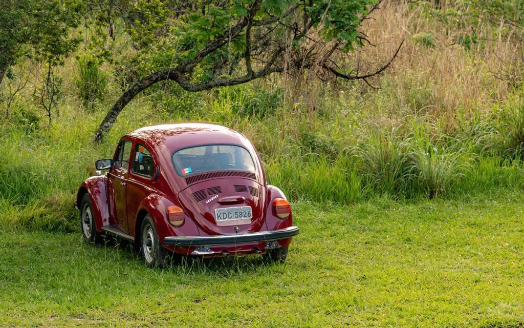 Fusca no Cerrado revela encontros entre estrada, paisagem e memória