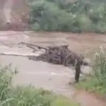 Passagem sobre Rio do Peixe é levada pela chuva em Lagolândia
