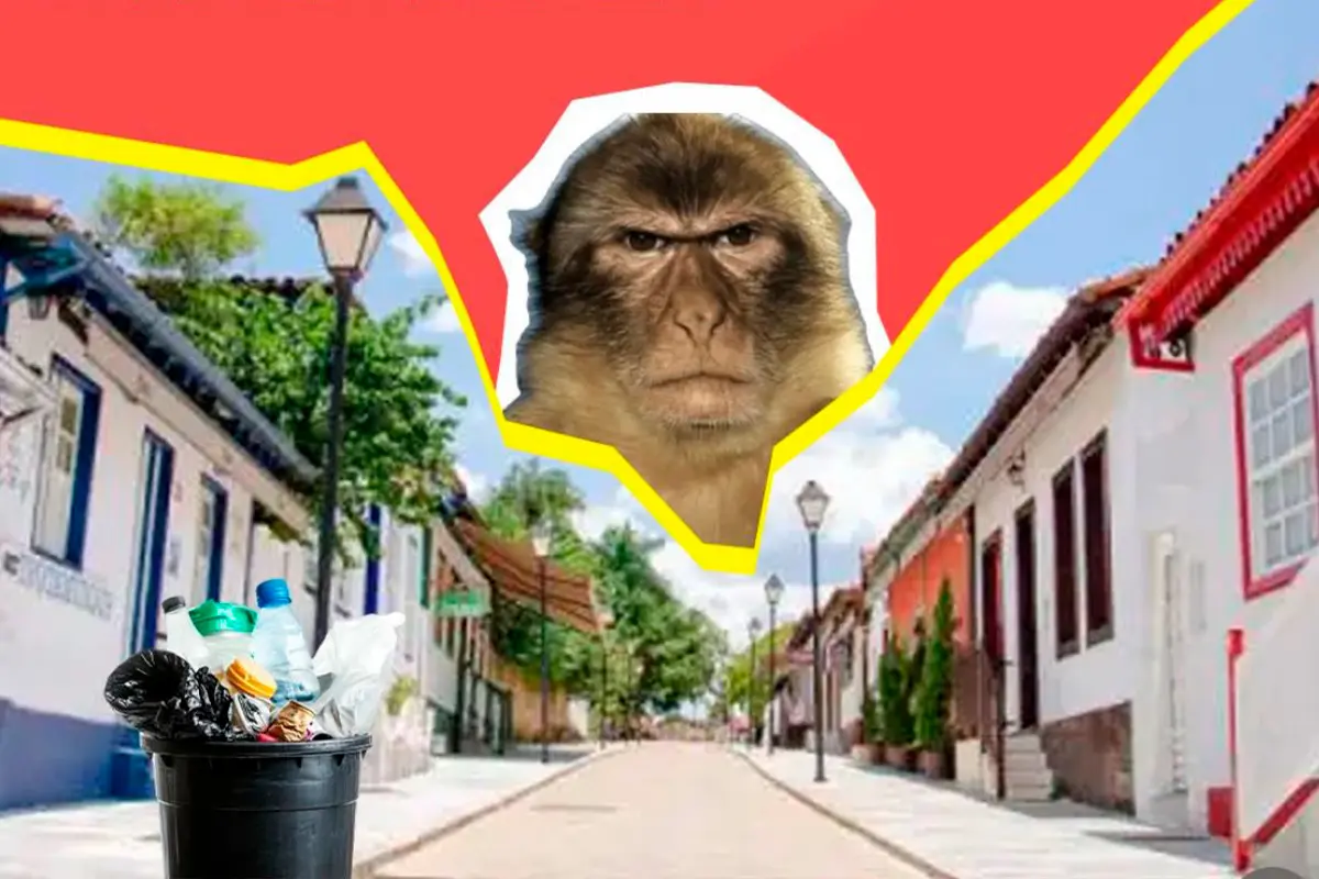 Prefeitura Pirenópolis lança campanha de conscientização