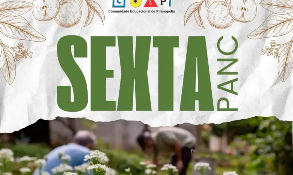 Sexta PANC em Pirenópolis promove plantio e receitas