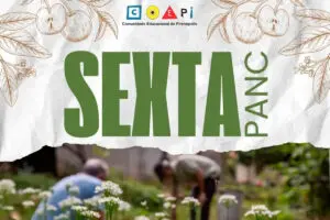 Sexta PANC: plantio e receitas toda sexta em Pirenópolis