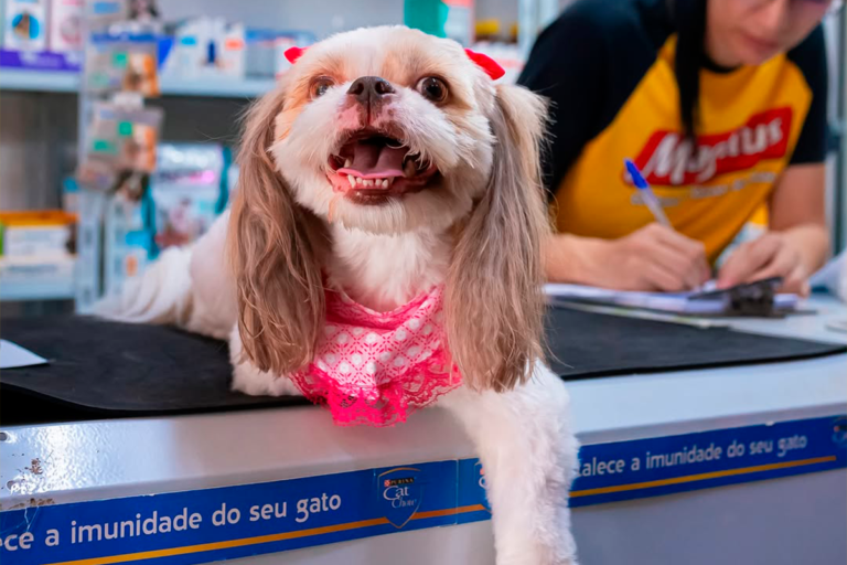 Casa Pet e Jardim em Pirenópolis fortalece setor pet local