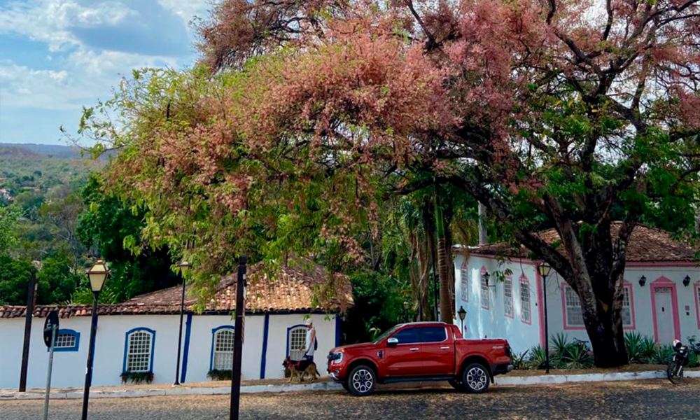 Cássia-rosa colore paisagem no Centro de Pirenópolis
