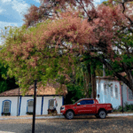 Cássia-rosa colore paisagem no Centro de Pirenópolis