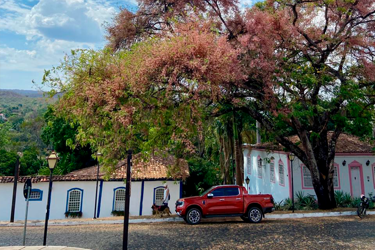 Cássia-rosa colore paisagem no Centro de Pirenópolis