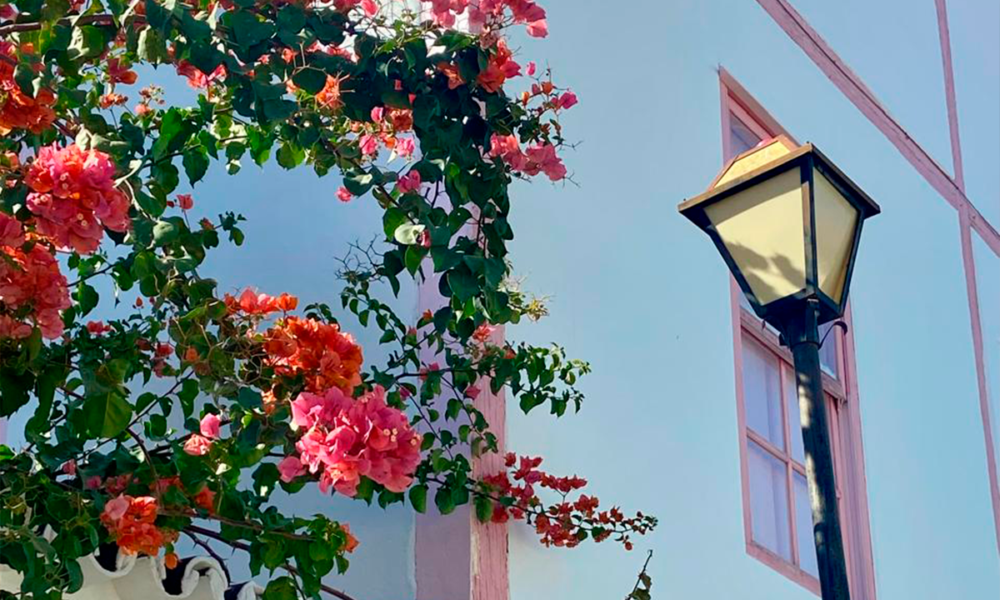 Centro Histórico de Pirenópolis - Flores e arquitetura
