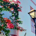 Centro Histórico de Pirenópolis - Flores e arquitetura