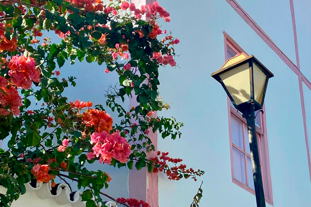 Centro Histórico de Pirenópolis: Flores e Arquitetura Encantadora