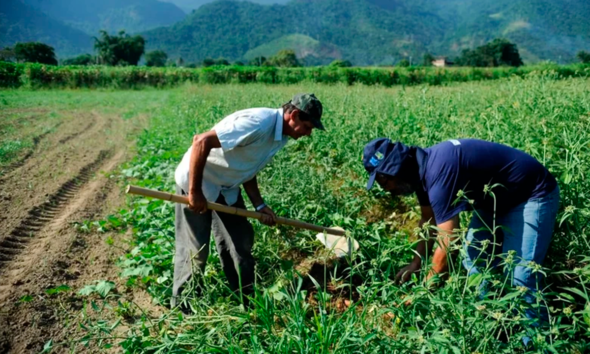 Cerrado Cooperativo: governo lança edital sustentável