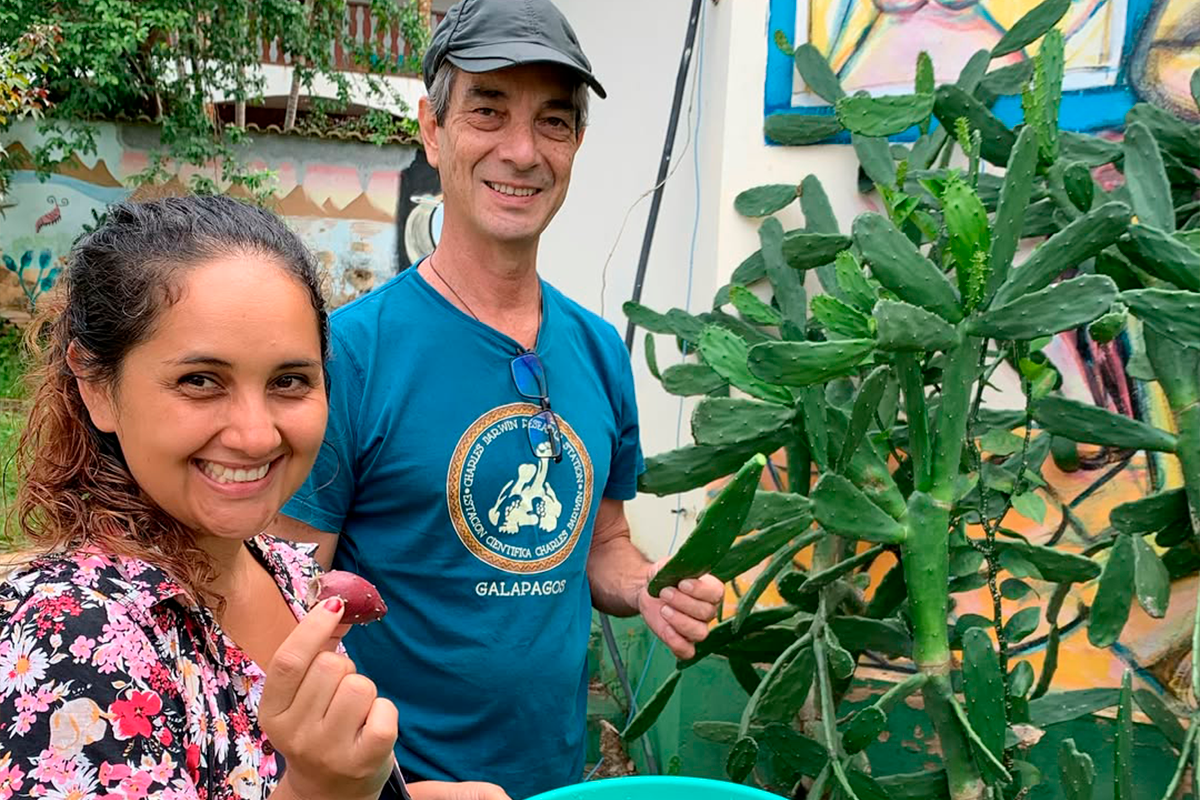 PANCs em Pirenópolis: COEPi fortalece cultivo e educação