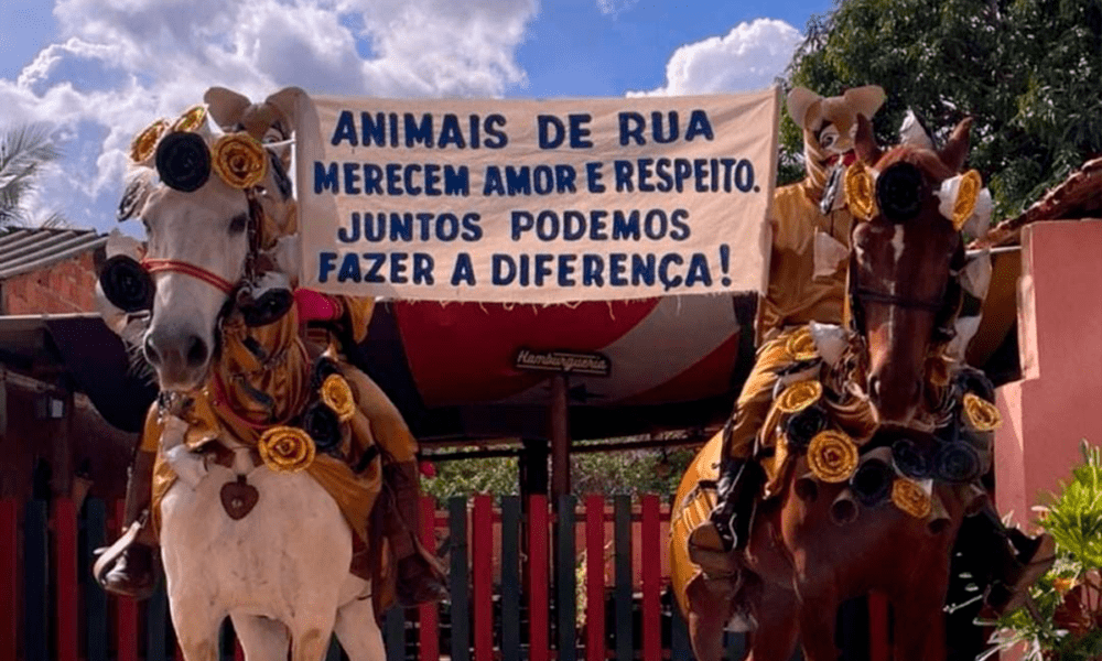 PiriCastra Consciente: Cavalhadas pirenópolis exigem cuidado com cavalos