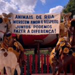 PiriCastra Consciente: Cavalhadas pirenópolis exigem cuidado com cavalos