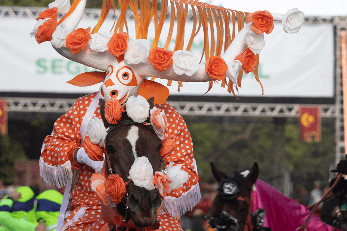 PiriCastra Consciente: Cavalhadas pirenópolis exigem cuidado com cavalos