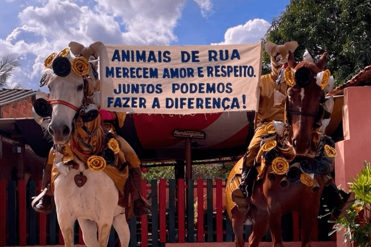 PiriCastra Consciente: Cavalhadas pirenópolis exigem cuidado com cavalos