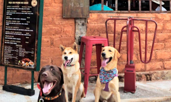 8 restaurantes pet friendly em Pirenópolis para conhecer