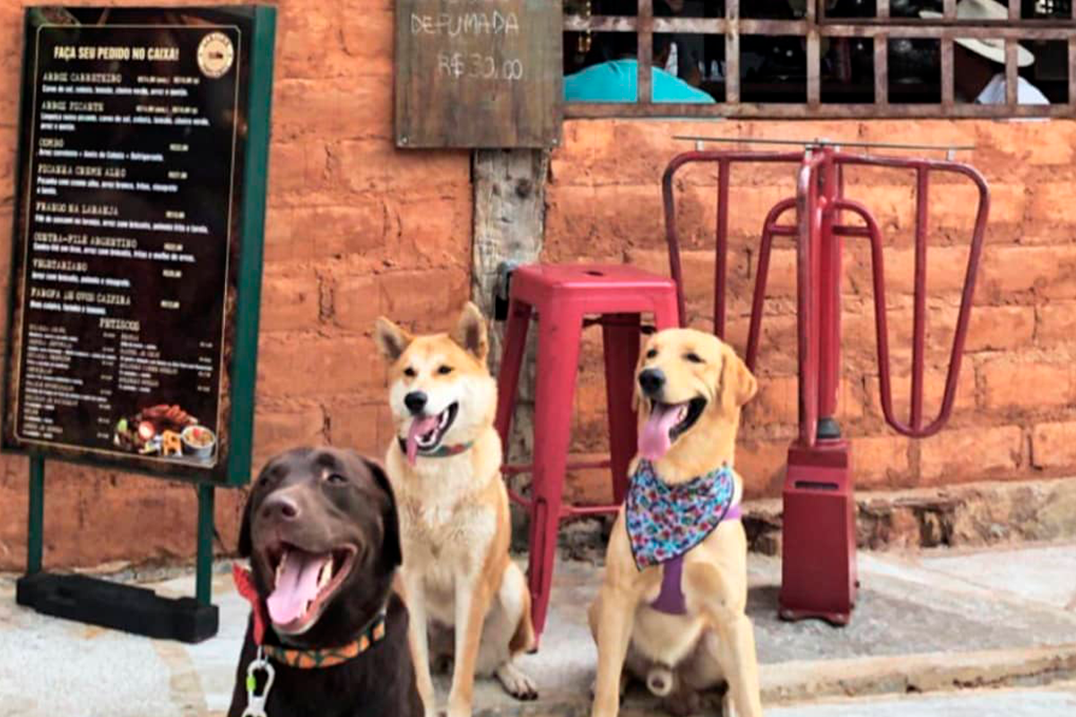8 Restaurantes Pet Friendly em Pirenópolis para Conhecer
