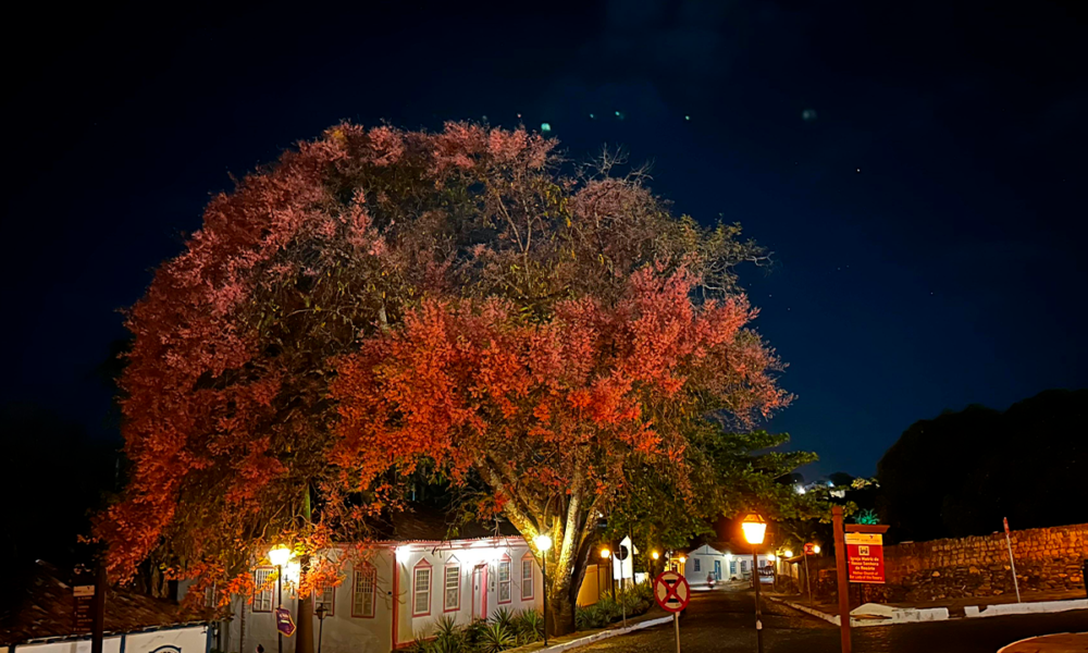 Acácia-rosa colore noite no centro histórico de Pirenópolis