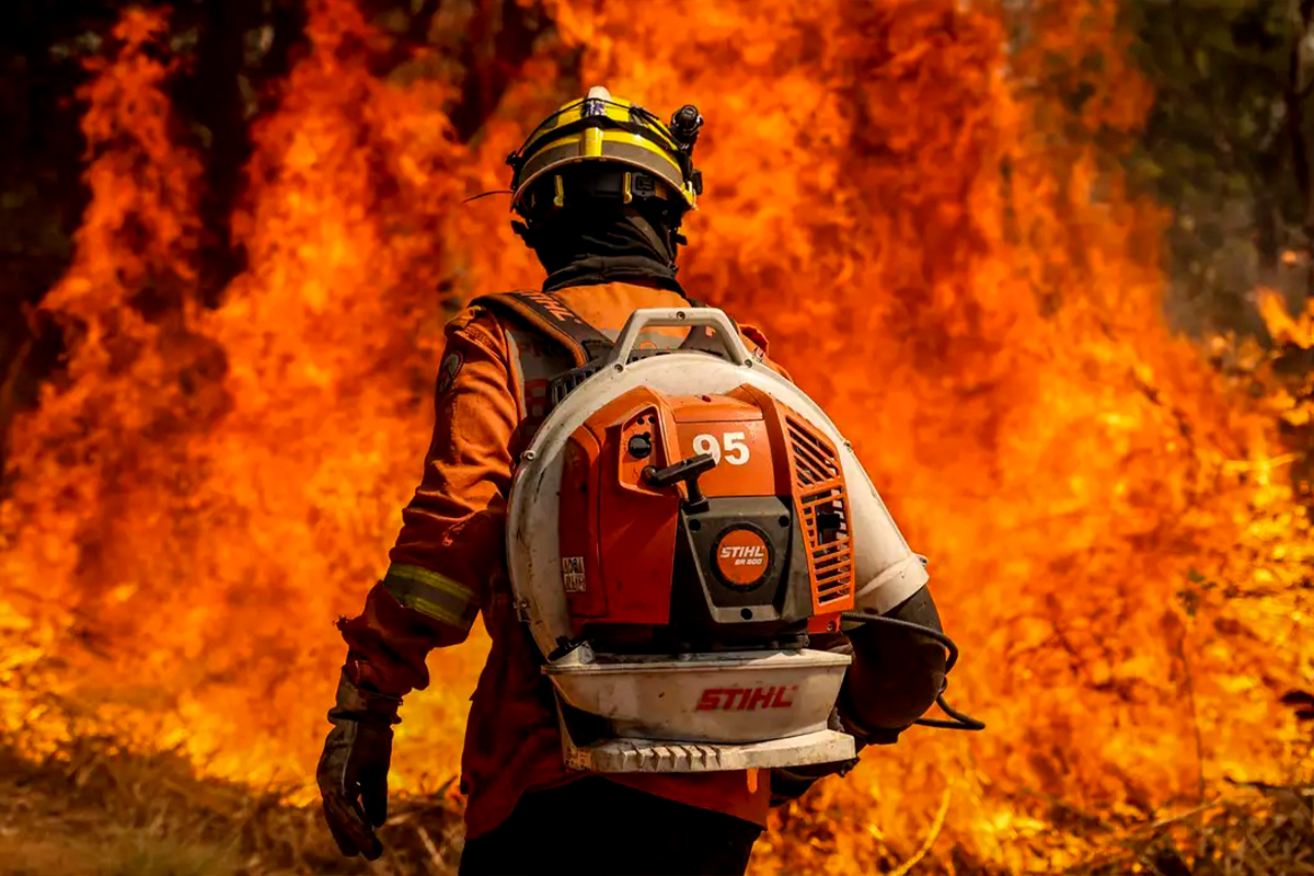 Denúncia de incêndio ajuda a proteger vidas e o Cerrado