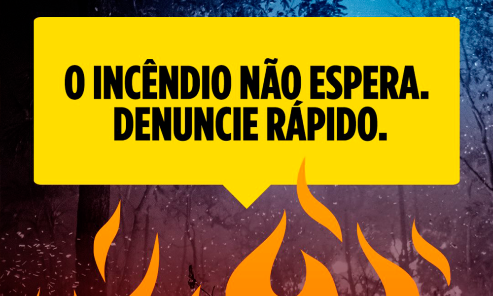 Denúncia de incêndio ajuda a proteger vidas e o Cerrado