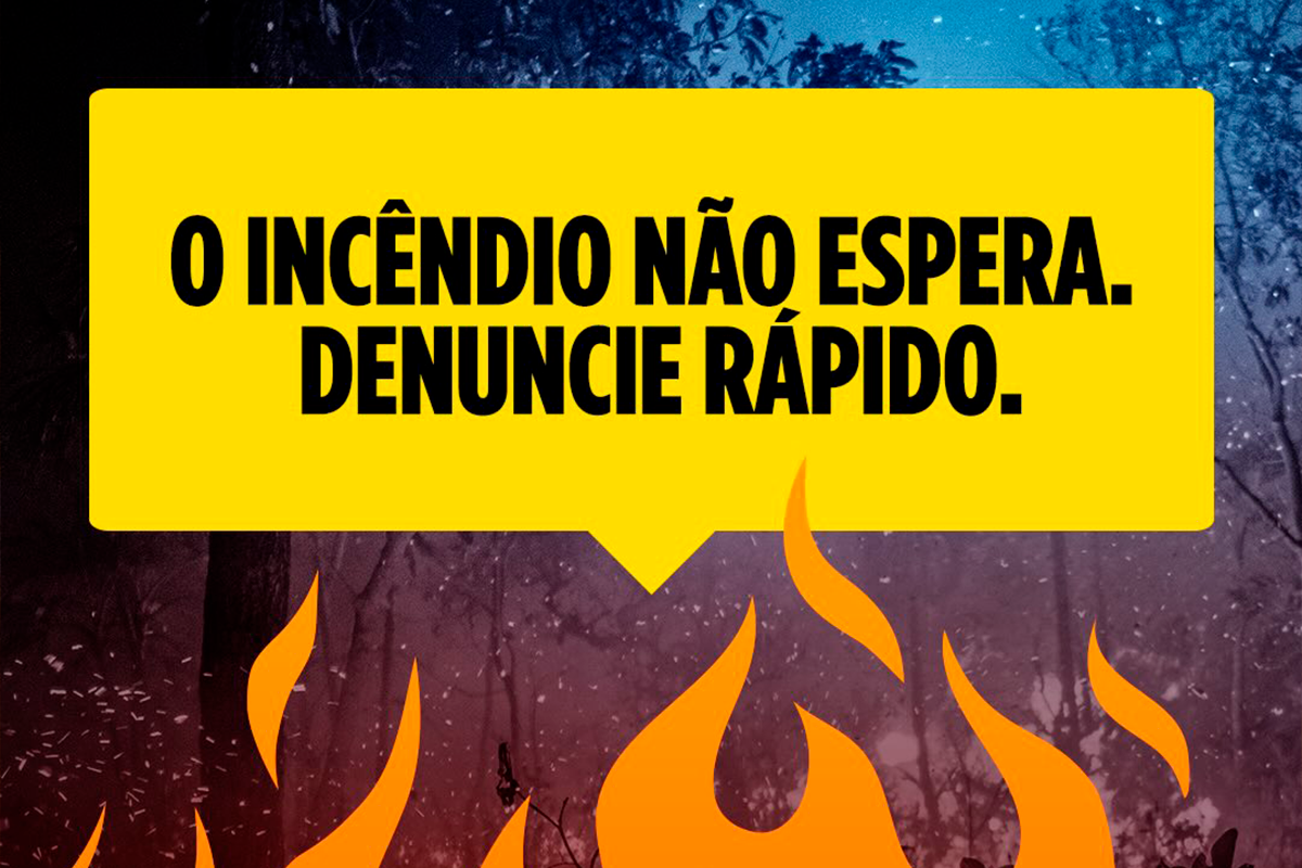 Denúncia de incêndio ajuda a proteger vidas e o Cerrado