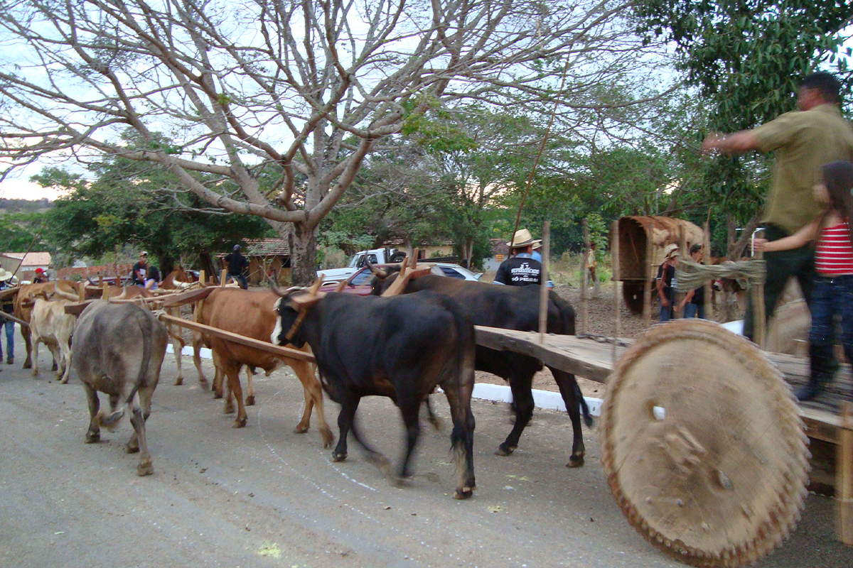 Festa de Caxambu em Pirenópolis preserva a tradição das romarias