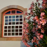 Janela de Pirenópolis revela charme da arquitetura colonial