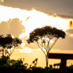 Pôr do sol em Pirenópolis, Cerrado, natureza, paisagem, turismo em Pirenópolis, entardecer, céu de Pirenópolis, Goiás, Portal Piri