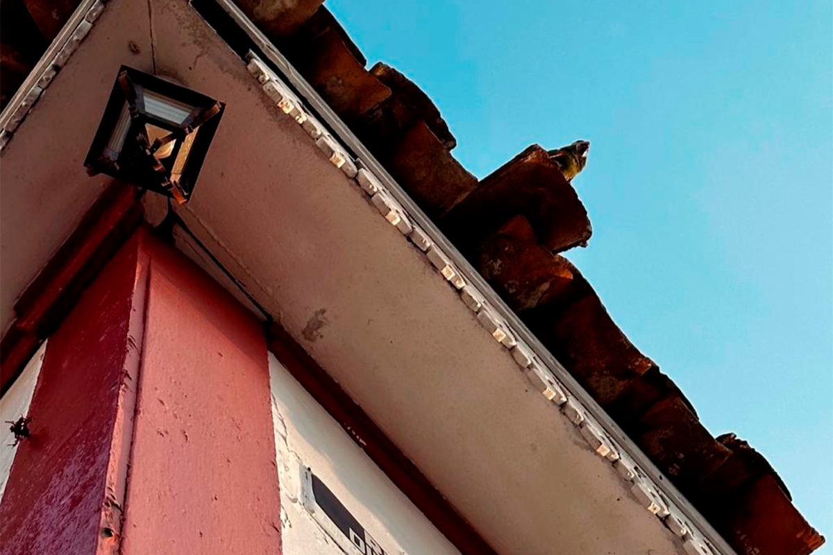Rua Direita Revela e os Detalhes do Centro Histórico