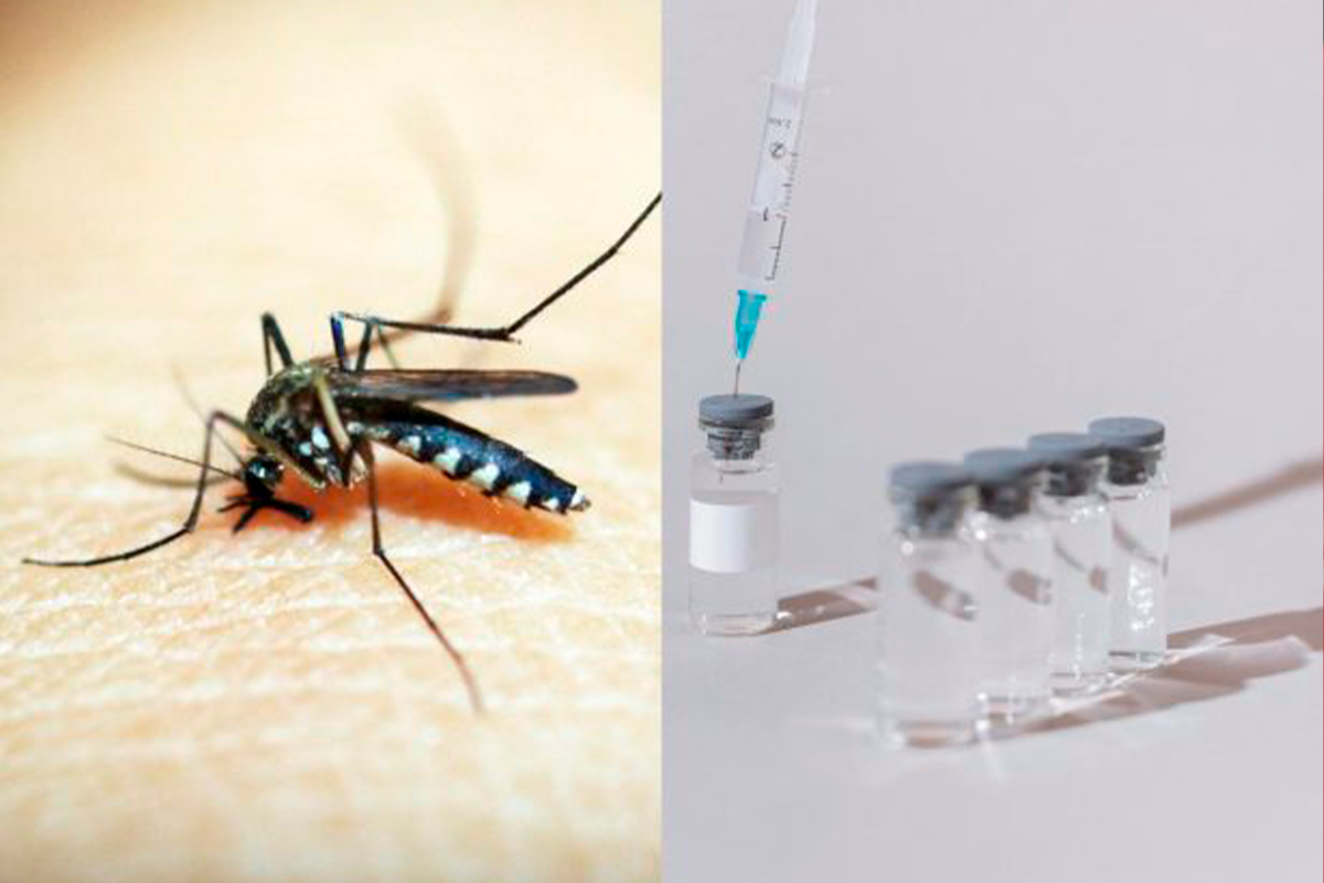 Vacina da dengue tem aplicação suspensa pelo Ministério da Saúde