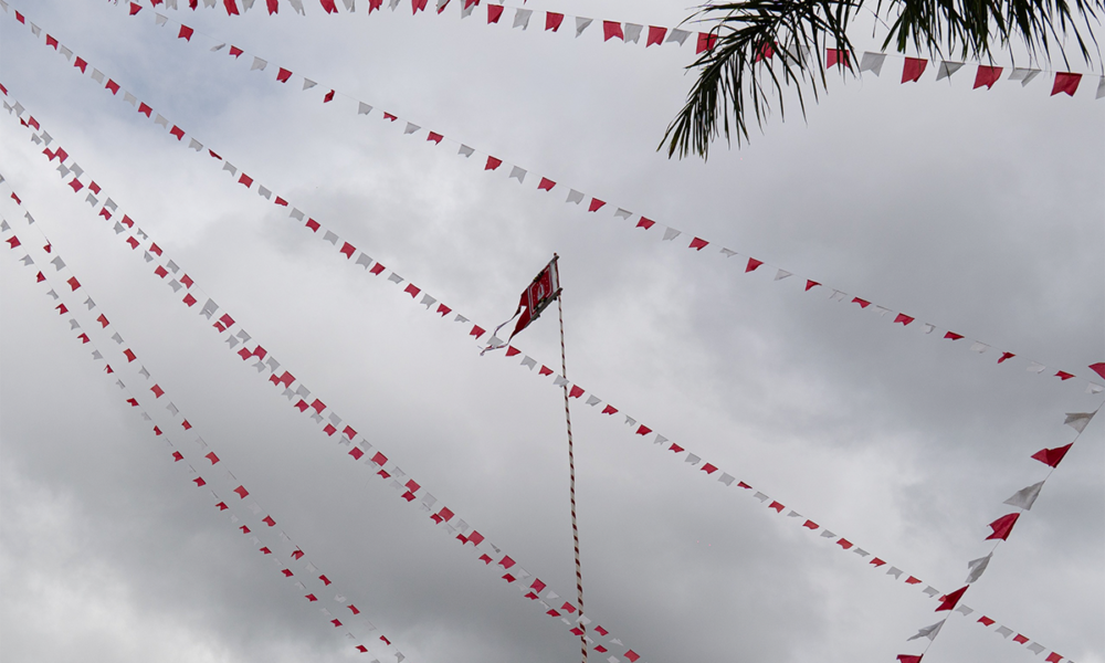 Bandeira do Divino mantém viva a fé em Pirenópolis