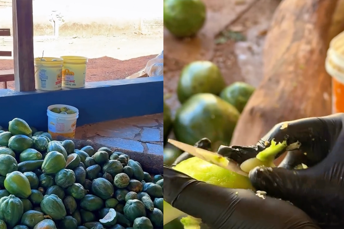 Festa do Divino Pai Eterno começa dia 9 em Lagolândia