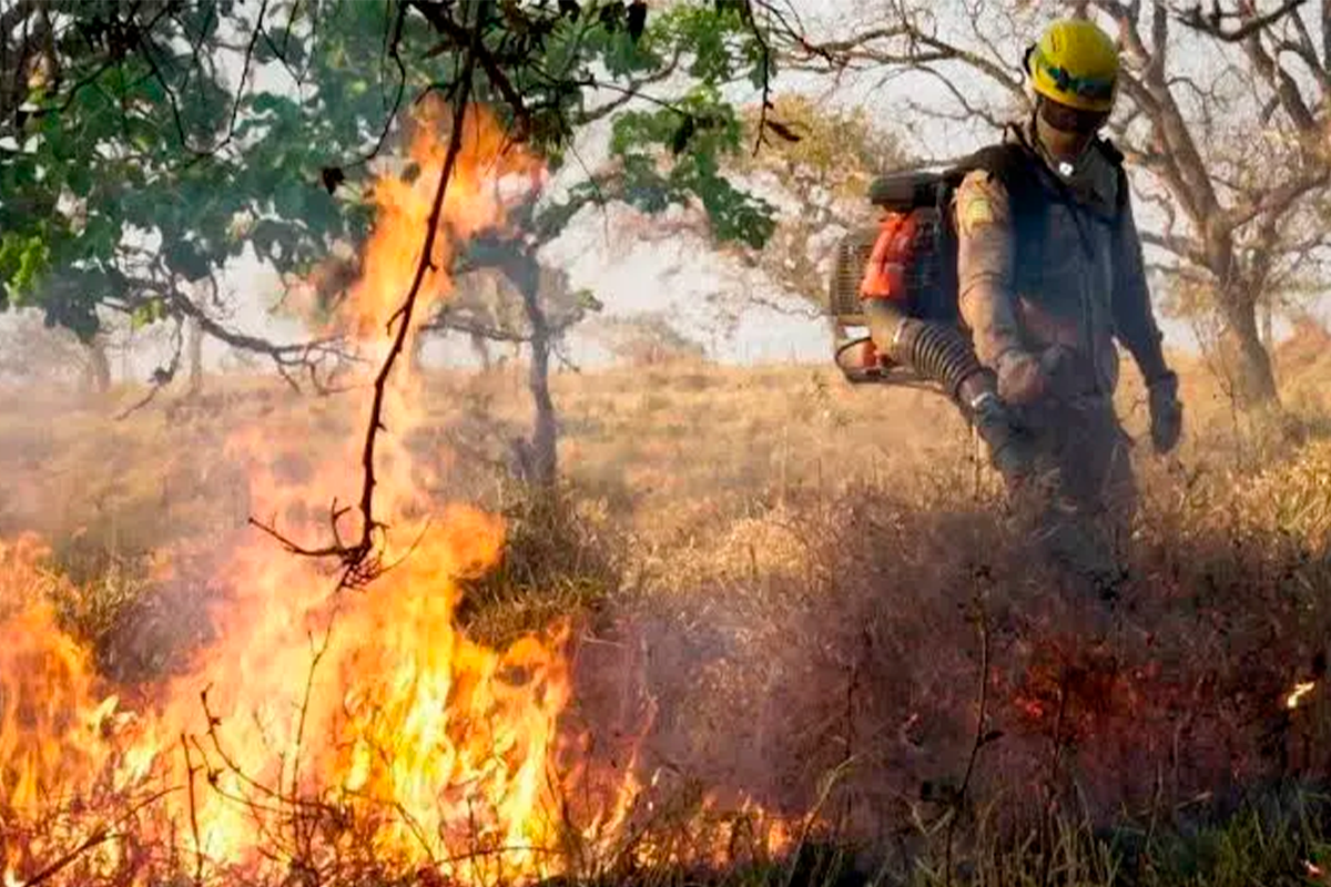 Goiás seco coloca 21 cidades em alerta para queimadas