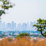 Goiás seco coloca 21 cidades em alerta para queimadas