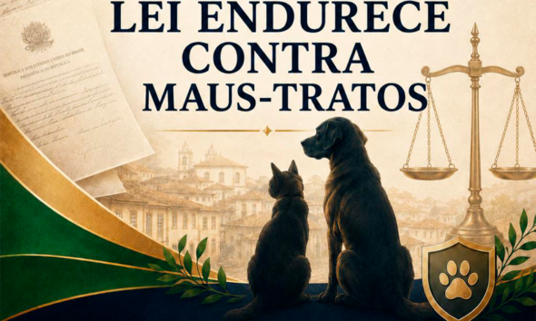 Maus-tratos a animais: multas podem chegar a R$ 1 milhão Maus-tratos a animais: multas podem chegar a R$ 1 milhão