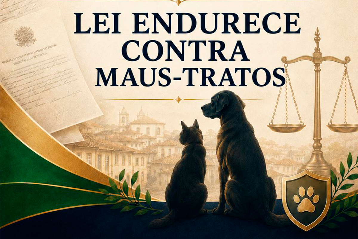 Maus-tratos a animais: multas podem chegar a R$ 1 milhão