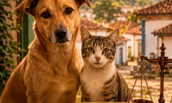 PiriCastra Consciente: STF reforça proteção animal