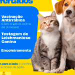 Prefeitura de Pirenópolis promove vacinação antirrábica no Carmo