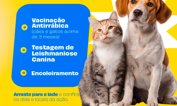 Prefeitura de Pirenópolis promove vacinação antirrábica no Carmo Prefeitura de Pirenópolis promove vacinação antirrábica no Carmo