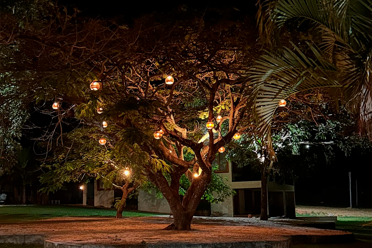Reserva Jardim une hospedagem, natureza e eventos em Pirenópolis