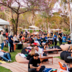 Saga Jazz Festival 2026 reúne grandes nomes em Pirenópolis