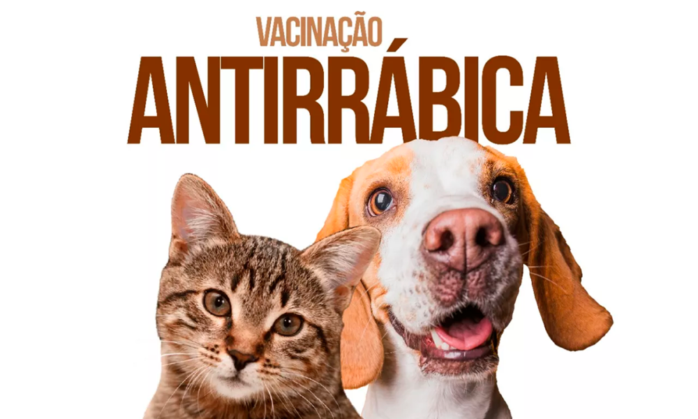 Vacinação antirrábica: Prefeitura de Pirenópolis imuniza cães e gatos