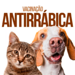 Vacinação antirrábica: Prefeitura de Pirenópolis imuniza cães e gatos
