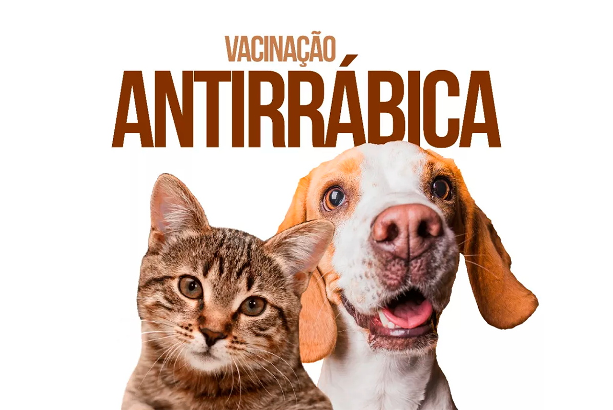 Vacinação antirrábica: Prefeitura de Pirenópolis imuniza cães e gatos