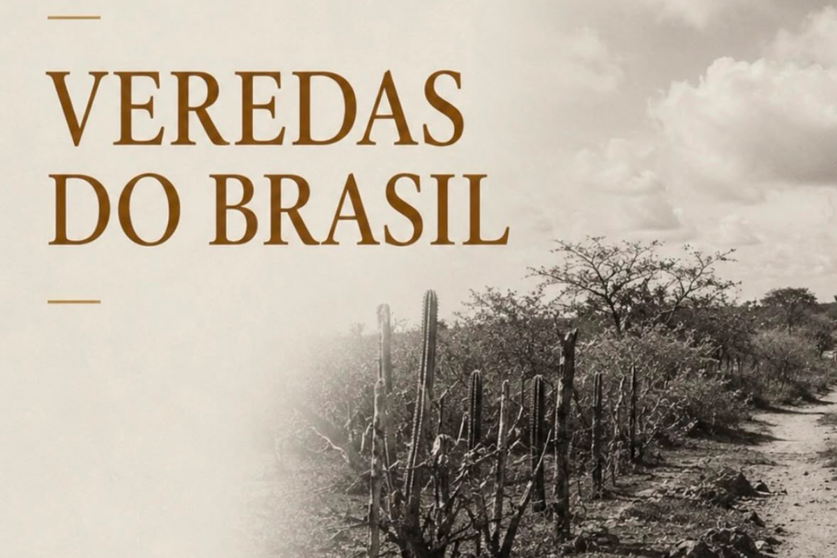 Veredas do Brasil: Prêmio FCW de Fotografia 2026 abre inscrições