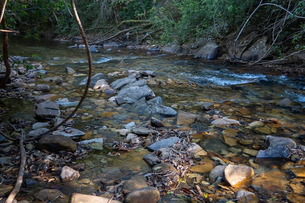 Cabine Kawa em Pirenópolis aposta em hospedagem intimista