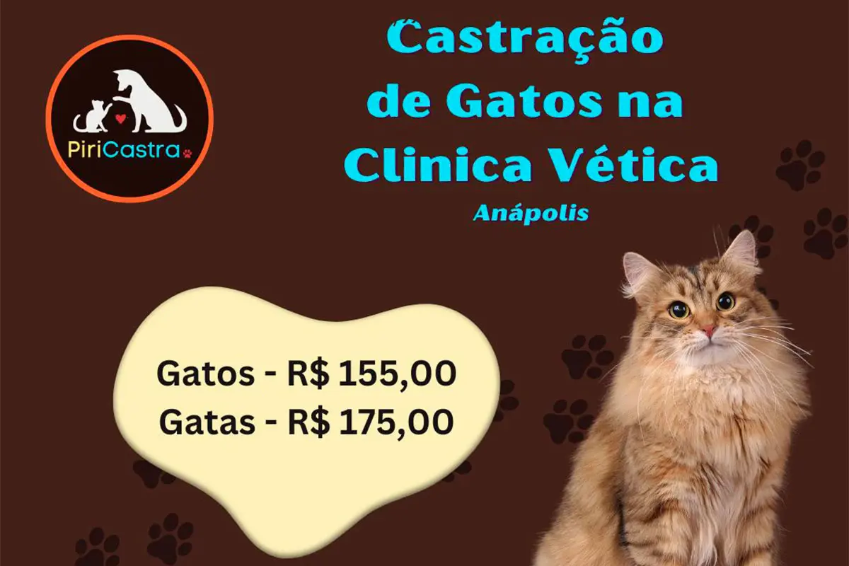 Castração em Pirenópolis ganha opção de baixo custo pela PiriCastra Castração em Pirenópolis ganha opção de baixo custo pela PiriCastra
