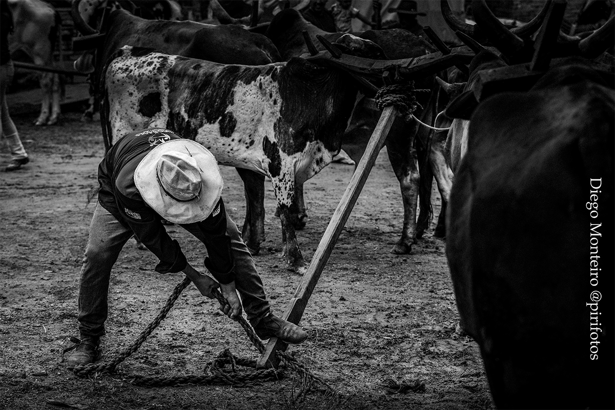 Fotógrafo de Pirenópolis Diego Monteiro é premiado no Cerratense