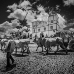 Fotógrafo de Pirenópolis Diego Monteiro é premiado no Cerratense