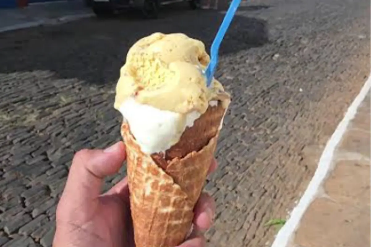 Pequi em Pirenópolis: você provaria essas 4 criações?