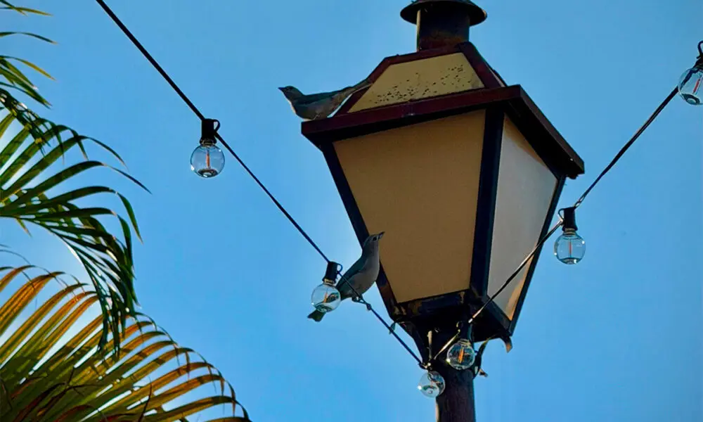 Pirenópolis: passarinho repousa em luminária sob o céu azul